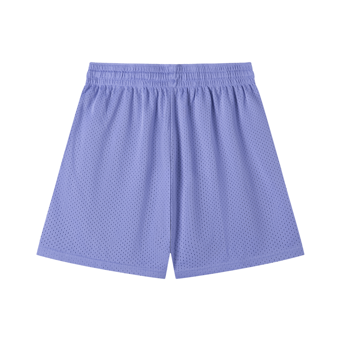 Mesh Drawstring Shorts